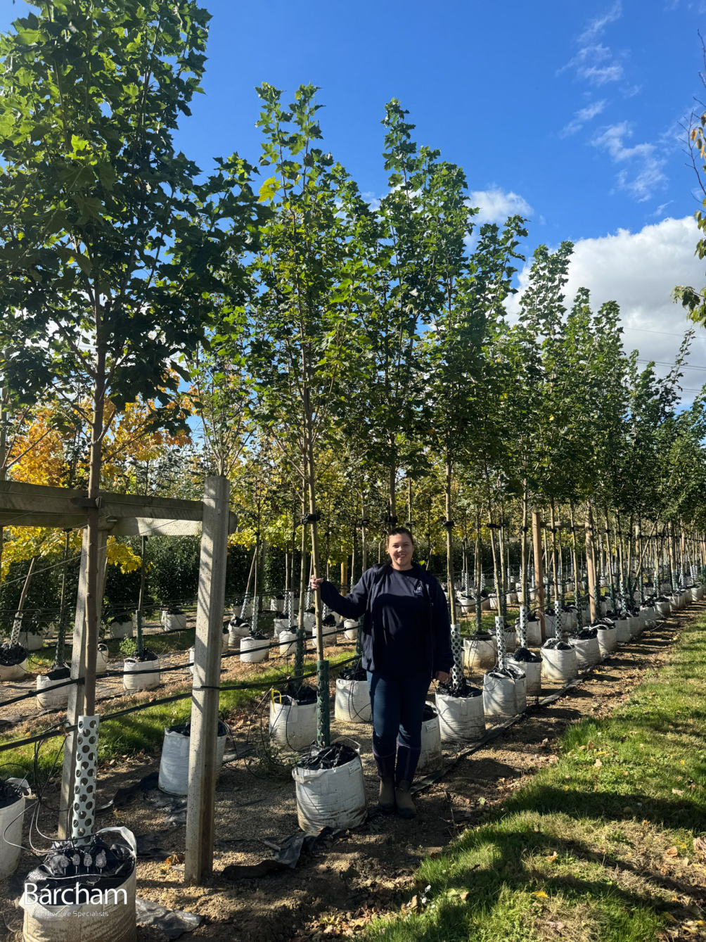 2025 Batch  Photo - Medium sized