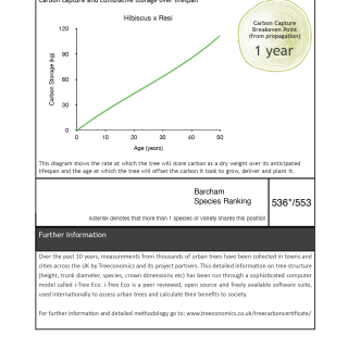 Carbon Rating