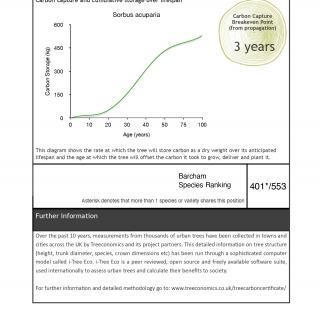 Carbon Rating