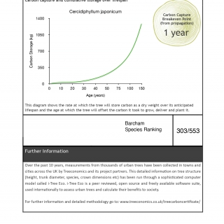 Carbon Rating