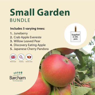 Small Garden Tree Bundle in 20L Containers