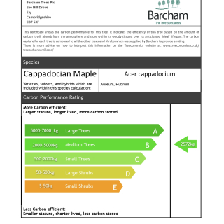 Carbon Rating