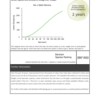 Carbon Rating