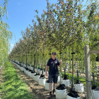 Medium Batch Photo 2025