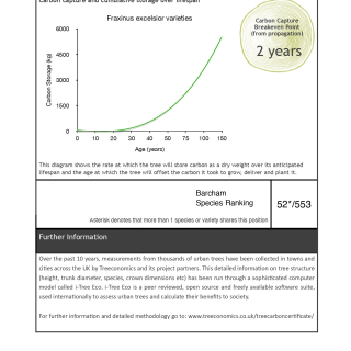Carbon Rating