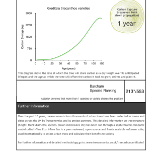 Carbon Rating