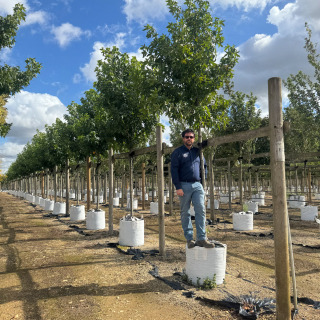 Instant Worplesdon Batch Photo 2025