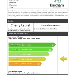 Carbon performance certificate