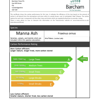 Carbon rating