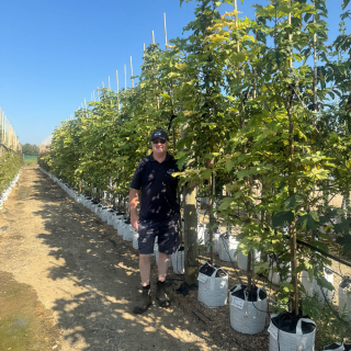 1.75-2.0m batch photo 2025