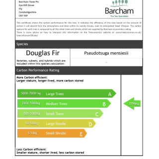 Carbon Rating