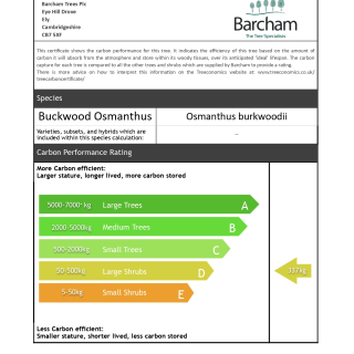 Carbon Rating