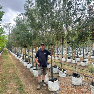 2026 Medium Batch Photo