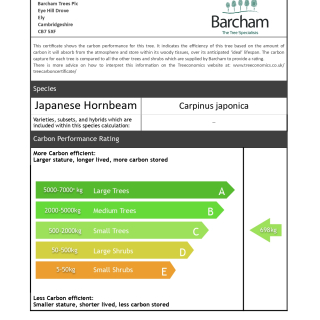 Carbon Rating