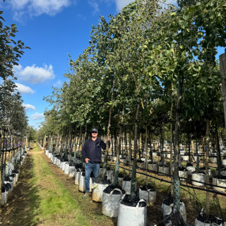 Medium Batch Photo 2025