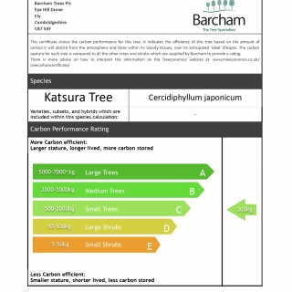 Carbon Rating
