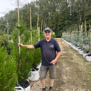 1.0-1.25m Thuja plicata Atrovirens