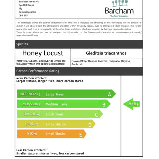 Carbon Rating