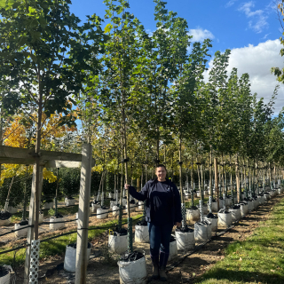 2025 Batch  Photo - Medium sized